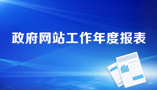 政府网站工作年度报表