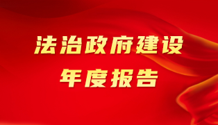 法治政府建设年度报告专题