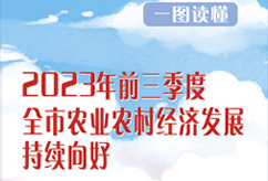 2023年前三季度全市农业农村经济发展持续向好