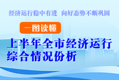 上半年全市经济运行综合情况分析